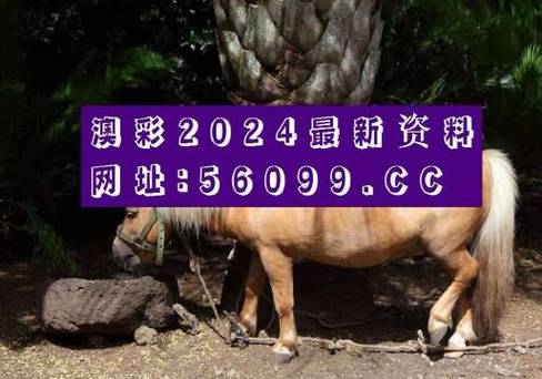 科普二下！管家婆精选资料四肖八码中特_2025最早更新澳彩资料网